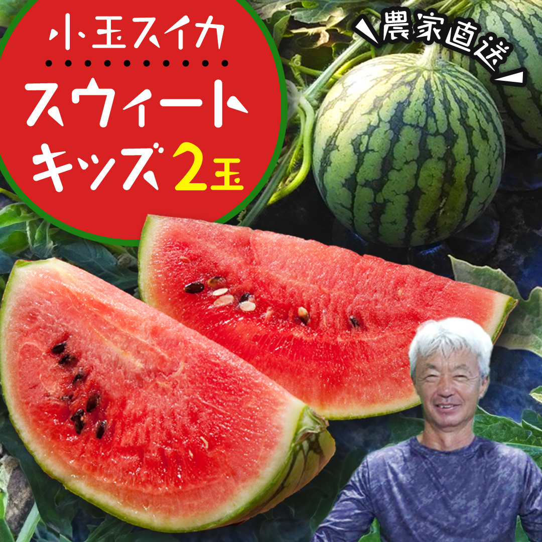 【2026年5月下旬より発送開始】 小玉 スイカ スウィートキッズ 2玉 セット 先行予約 小玉スイカ すいか 西瓜 こだますいか フルーツ 果物 くだもの 農家直送 旬 甘い ギフト 人気 産直 [CQ001sa]