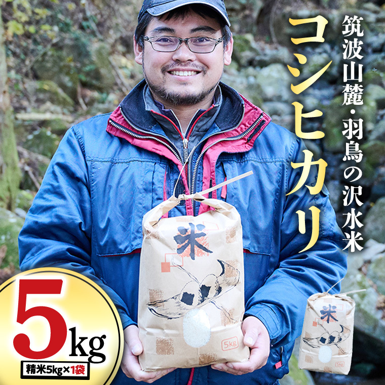 令和7年産 筑波山麓・羽鳥の沢水米 コシヒカリ 5kg 米 お米 コメ 精米 白米 桜川市 茨城県 [BN002sa]