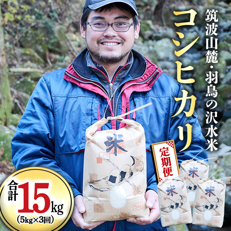 令和7年産 【3ヶ月定期便】 筑波山麓・羽鳥の沢水米 コシヒカリ 5kg × 3回 定期便 米 お米 コメ 精米 白米 桜川市 茨城県 [BN003sa]
