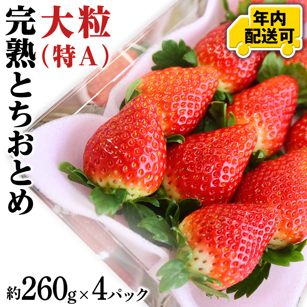 【12/17までの申込で年内にお届け！】完熟 とちおとめ 約260g×4パック 年内お届け 国産 いちご イチゴ 苺 果物 フルーツ 茨城県産 KEK[BC080sa]