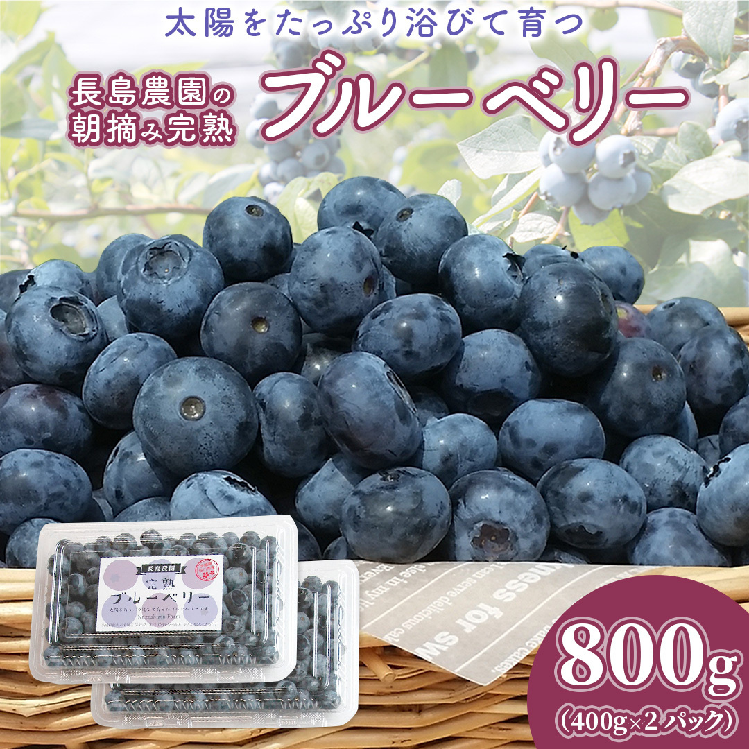 ブルーベリー 800g ( 400g × 2パック ) 【2026年6月から発送開始】 国産 茨城県産 ベリー フルーツ 果物 くだもの 自家製栽培[AK003sa]