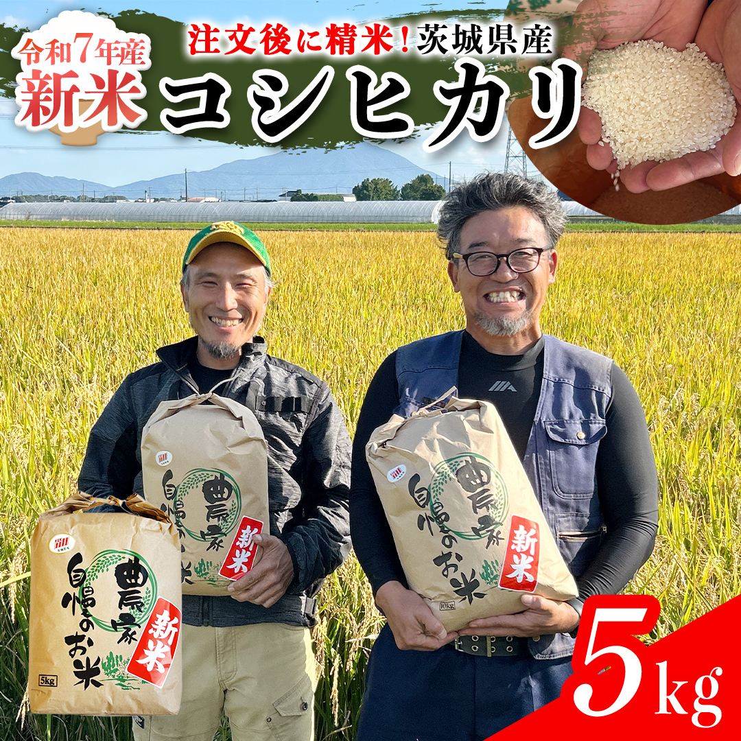 【令和7年】茨城県産 コシヒカリ 5kg 令和7年産 新米 単一原料米 精米 米 お米 コメ 白米 こしひかり 茨城県 [BC084sa]