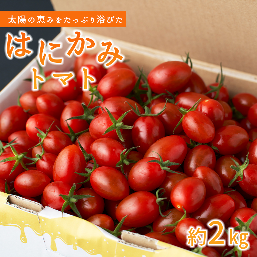 [先行予約]太陽の恵みをたっぷり浴びた はにかみトマト 2kg ミニトマト 真岡市 栃木