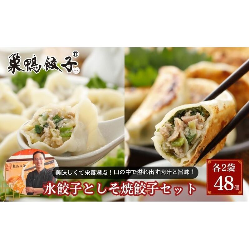 巣鴨餃子 水餃子としそ焼餃子 の組み合わせ 各2袋 48個 餃子 ぎょうざ ギョーザ セット 食べ比べ 冷凍 鍋 スープ おかず おつまみ お取り寄せ 豊島区 東京都