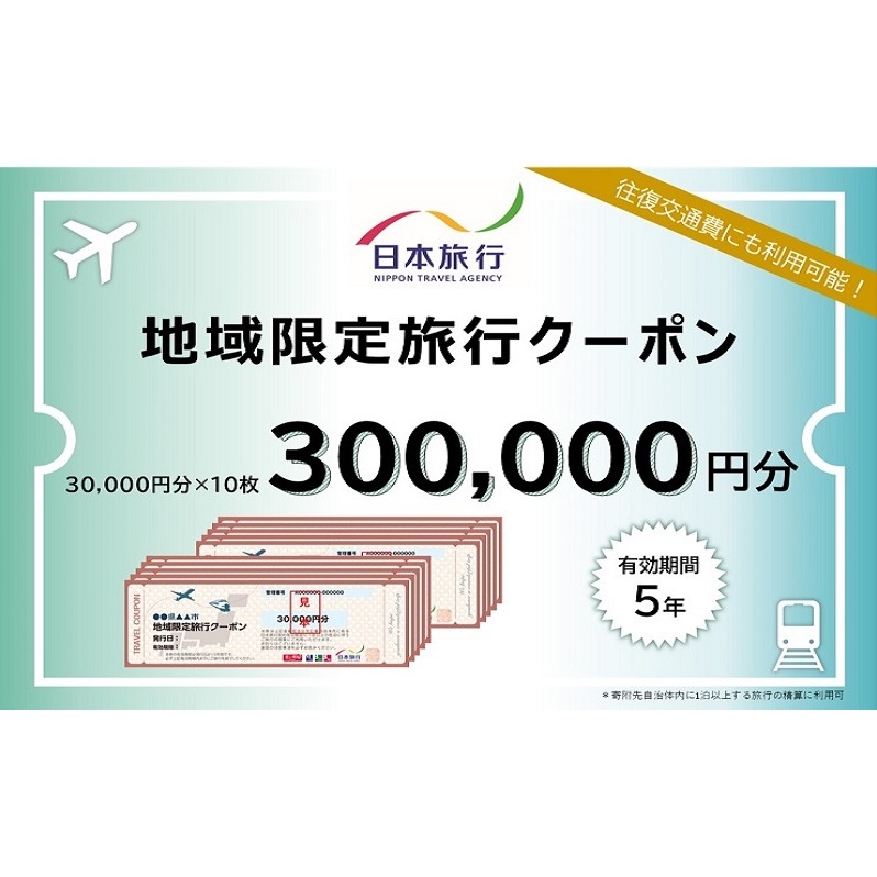 東京都豊島区　日本旅行　地域限定旅行クーポン300,000円分 ホテル 旅館 宿泊 トラベル 宿泊券 旅行クーポン ホテル券 ギフト券 チケット 観光 体験 東京都 池袋 ビジネス 