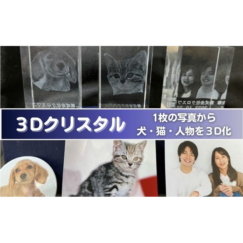 置物 1枚写真で3Dクリスタル 犬・猫・人物の正面写真 3Dクリスタル クリスタル インテリア ペット グッズ 猫 犬 家族 子供 名入れ おしゃれ 猫グッズ 犬グッズ ギフト プレゼント 贈答 贈答品 記念品 お祝い 変わり種 雑貨 東京 東京都 豊島区