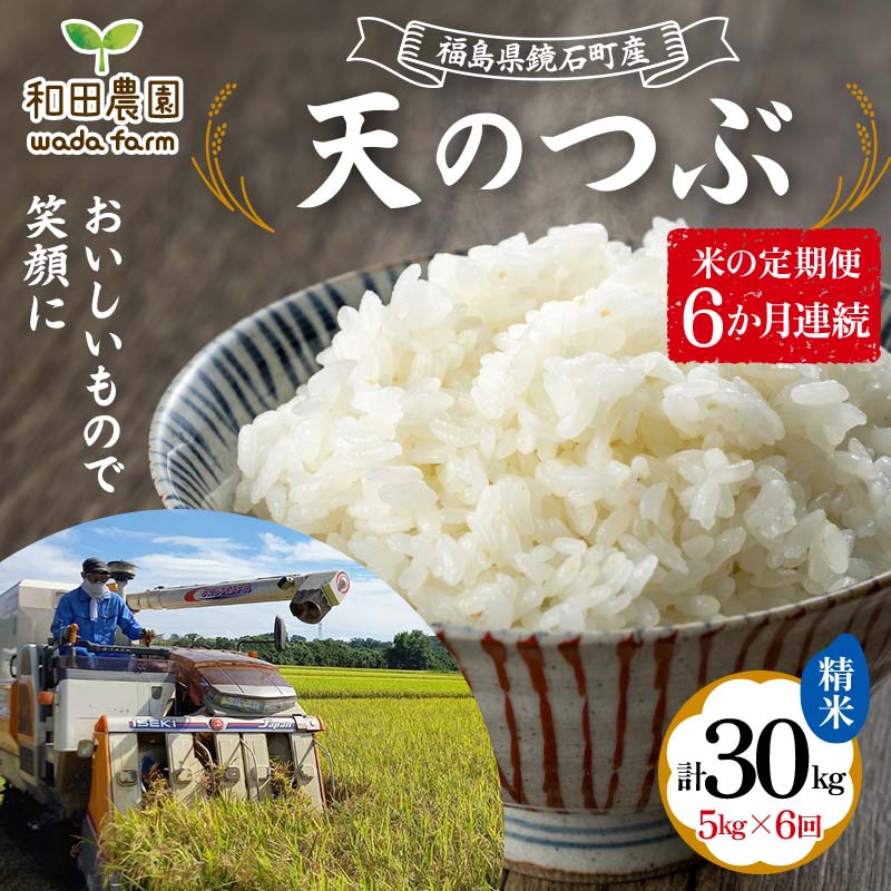 〈先行予約 2025年産米〉【米の定期便】福島県鏡石町産 和田農園「天のつぶ」精米5kg 6か月連続 F6Q-301