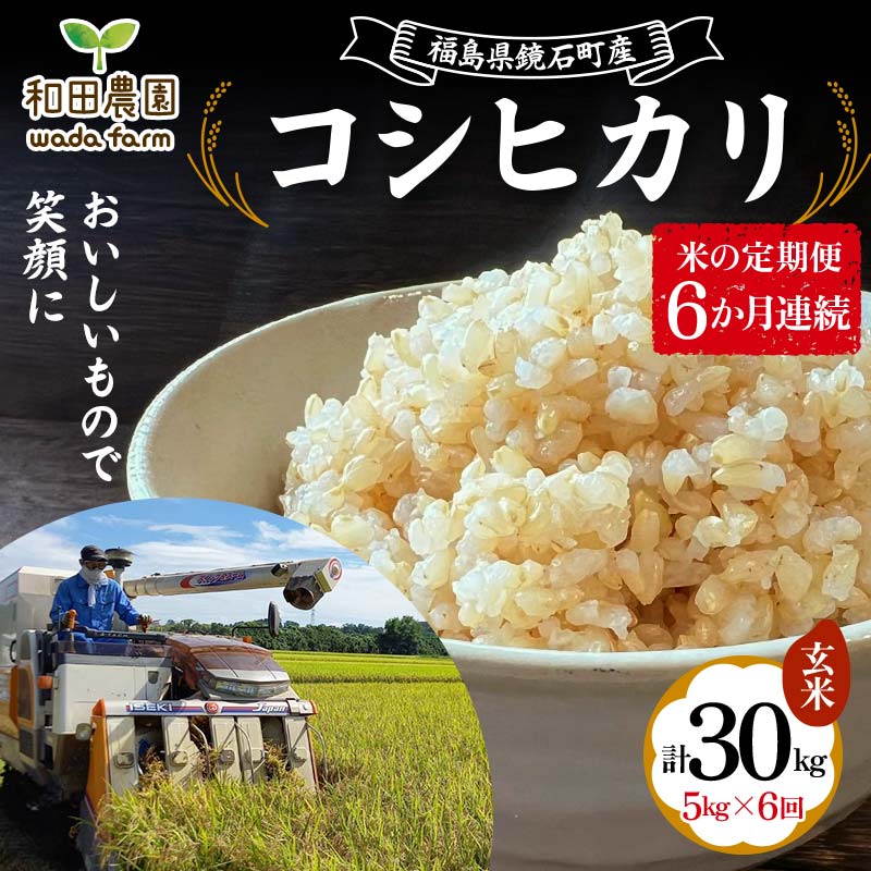 〈先行予約 2025年産米〉【米の定期便】福島県鏡石町産 和田農園「コシヒカリ」玄米5kg 6か月連続 F6Q-304