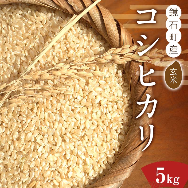 【先行予約】令和7年産　鏡石町産コシヒカリ玄米 5kg 米 コメ こめ F6Q-326