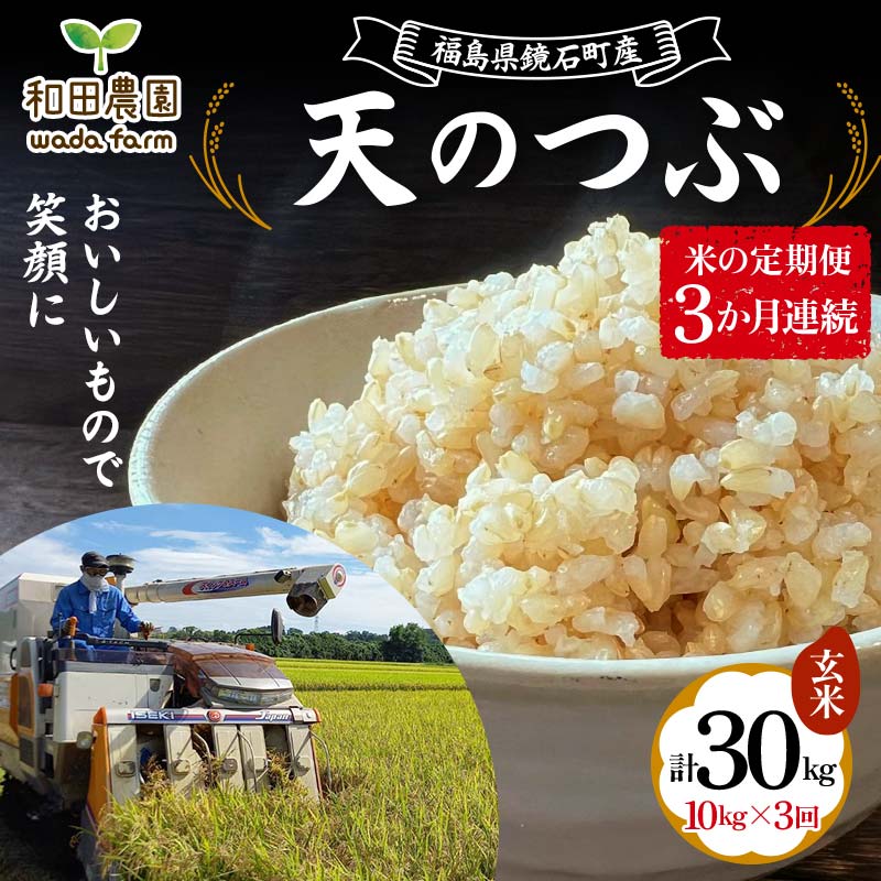 〈先行予約 2025年産米〉12月から発送【米の定期便】福島県鏡石町産 和田農園「天のつぶ」玄米10kg 3か月連続 F6Q-336
