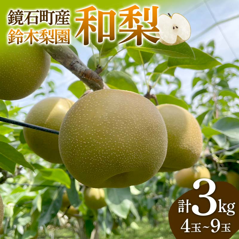 鏡石町産 和梨 3kg(4玉~9玉) なし ナシ フルーツ 果物 福島県 鏡石町 F6Q-121
