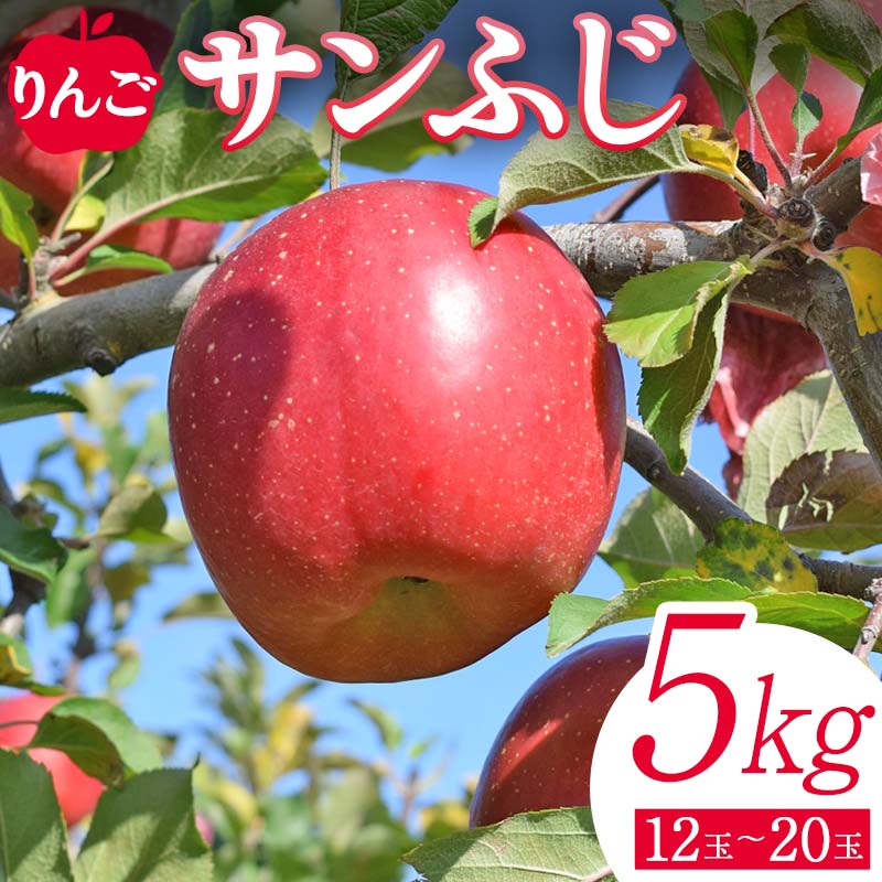 <先行予約>りんご サンふじ5kg(12玉~20玉) リンゴ フルーツ 果物 福島県 鏡石町  F6Q-138