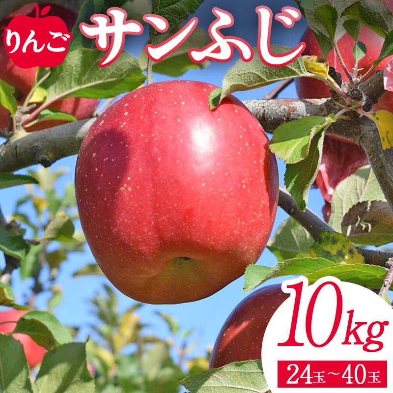 <先行予約>りんご サンふじ10kg(24玉~40玉) リンゴ フルーツ 果物 福島県 鏡石町  F6Q-139