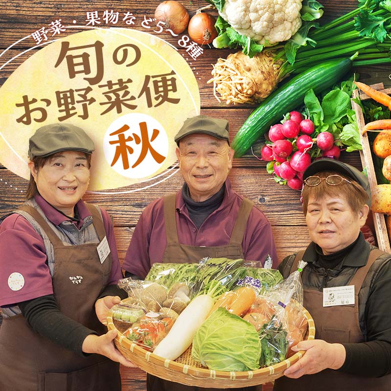 <先行予約>鏡石のうまいもの野菜の直送便(秋)野菜 果物 詰め合わせ つめ合わせ セット 福島県 鏡石町  F6Q-135