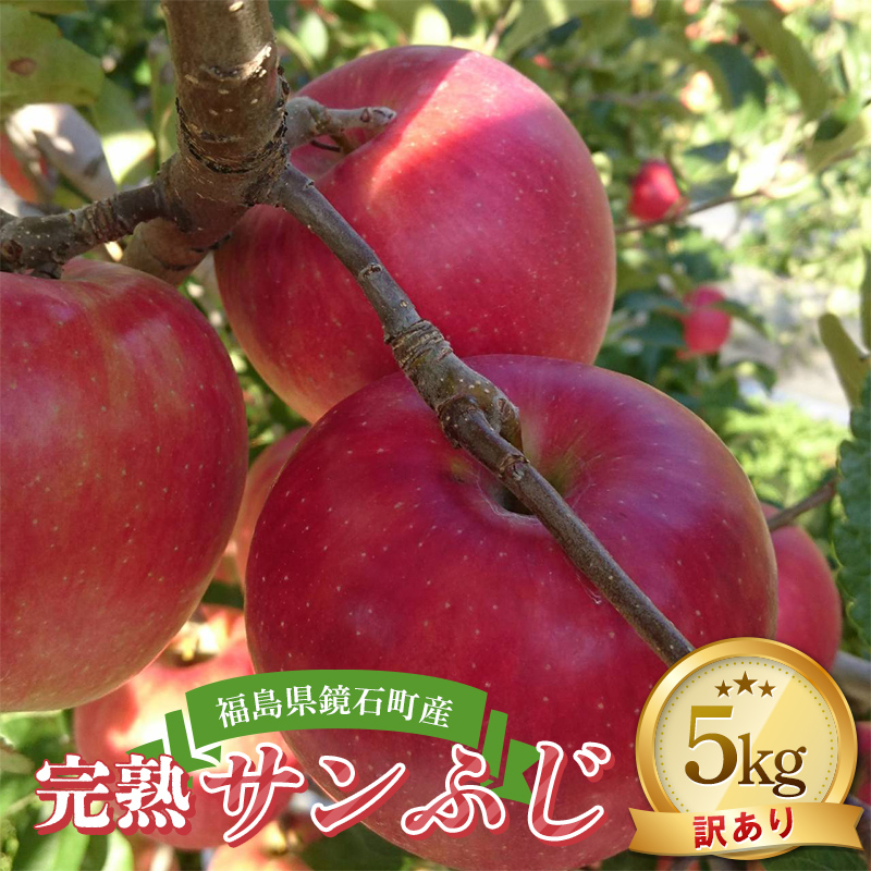 <先行予約>【訳あり品】 福島県 鏡石町産 完熟サンふじ 5kg (家庭用12玉~22玉) ワケあり りんご リンゴ フルーツ 果物 くだもの  F6Q-147