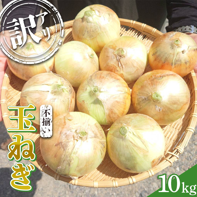 《先行予約》 2025年発送 <訳アリ> うまみたっぷり! 不揃い 玉ねぎ 10kg たまねぎ タマネギ 玉葱 野菜 訳あり ワケアリ F6Q-151
