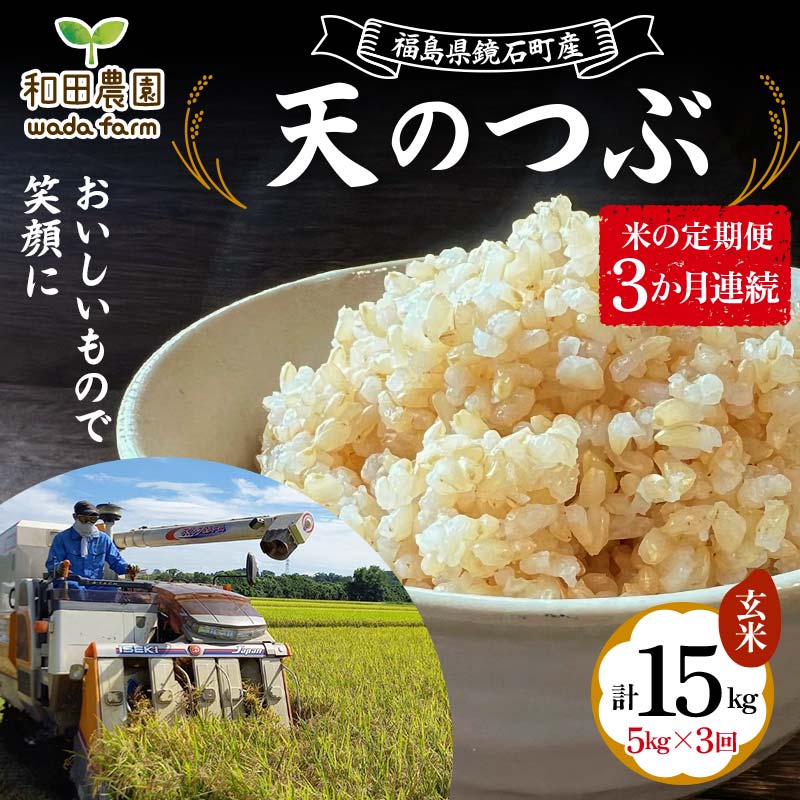 [先行予約 2025年産米][米の定期便]福島県鏡石町産 和田農園「天のつぶ」玄米5kg 3か月連続 F6Q-203