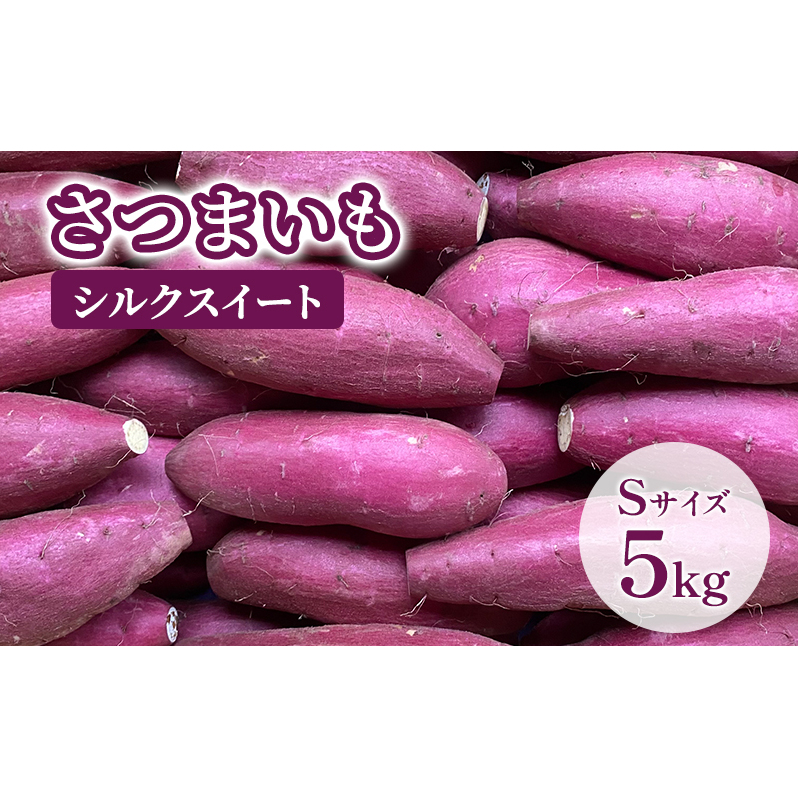 【Sサイズ】さつまいも5kg（シルクスイート） サツマイモ 薩摩芋 焼き芋 やきいも ヤキイモ 天ぷら 大学いも おやつ スイーツ スイートポテト 農家 産地直送 成田市 千葉県