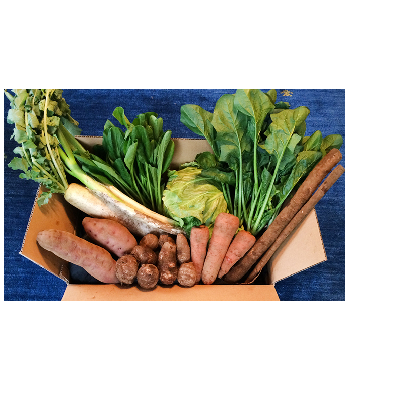 おかげさま農場の野菜のおまかせセット（無化学農薬・肥料栽培） 詰合せ 季節の野菜 詰め合わせ 