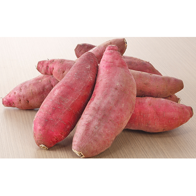 栽培期間中農薬不使用のさつまいも（紅はるか） 野菜 イモ 