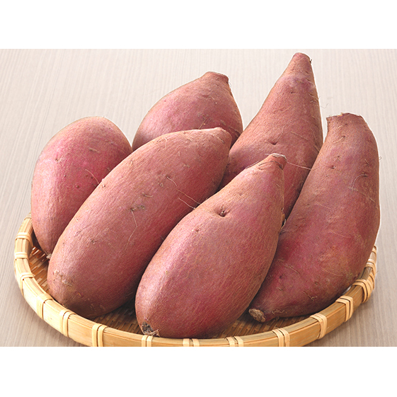 栽培期間中農薬不使用のさつまいも（シルクスィート） 野菜 イモ 