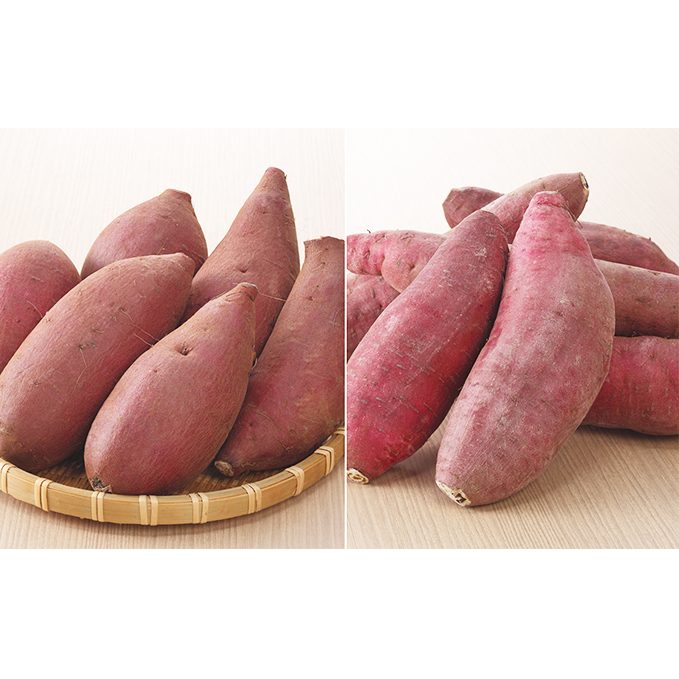 栽培期間中農薬不使用のさつまいも（紅はるか・シルクスィート）食べ比べセット 野菜 イモ 