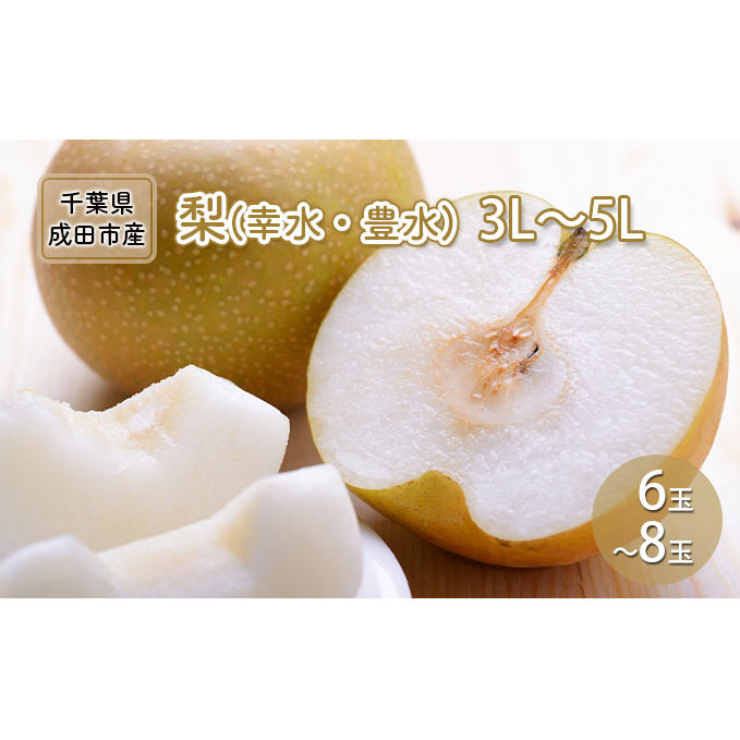 梨 幸水 豊水 3L～5L 6玉～8玉 なし ナシ 和梨 果物 くだもの フルーツ 旬のフルーツ 旬の果物 デザート 千葉 千葉県 成田市