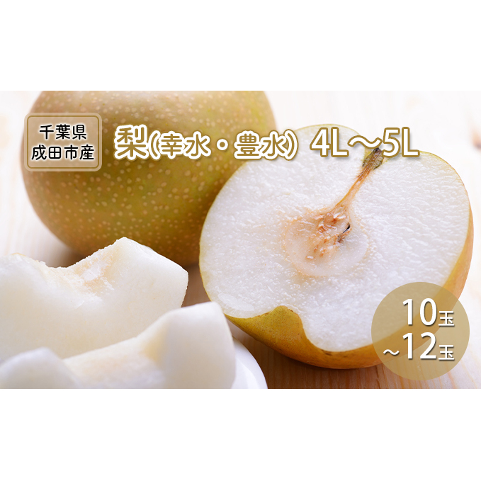 梨 幸水 豊水 4L～5L 10玉～12玉 なし ナシ 和梨 果物 くだもの フルーツ 旬のフルーツ 旬の果物 デザート 千葉 千葉県 成田市