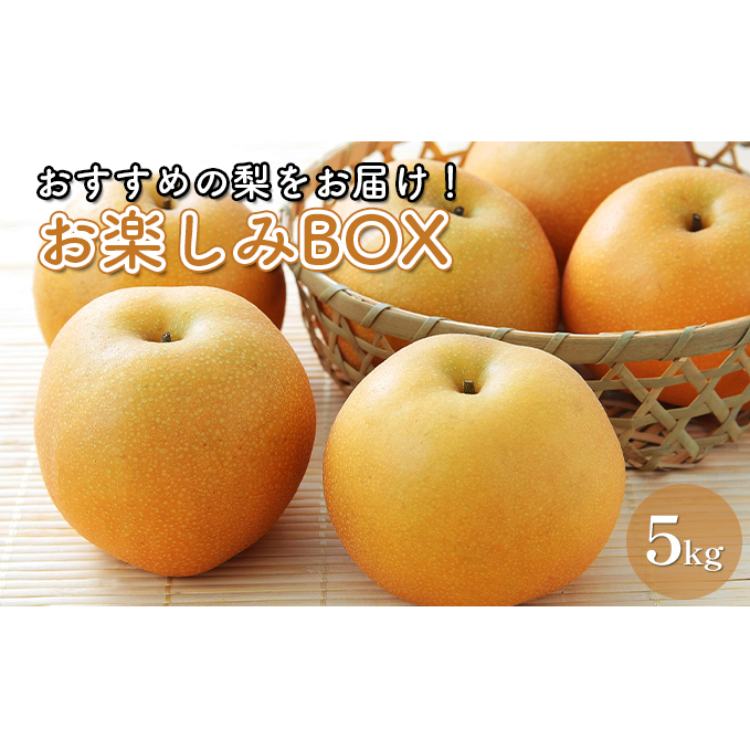 お楽しみBOX おすすめの梨をお届け 梨 7種の中からお任せ セット 詰め合わせ 豊水 秋月 かおり 新星 新高 甘太 にっこり なし ナシ 和梨 果物 くだもの フルーツ 旬のフルーツ 旬の果物 デザート 千葉 千葉県 成田市