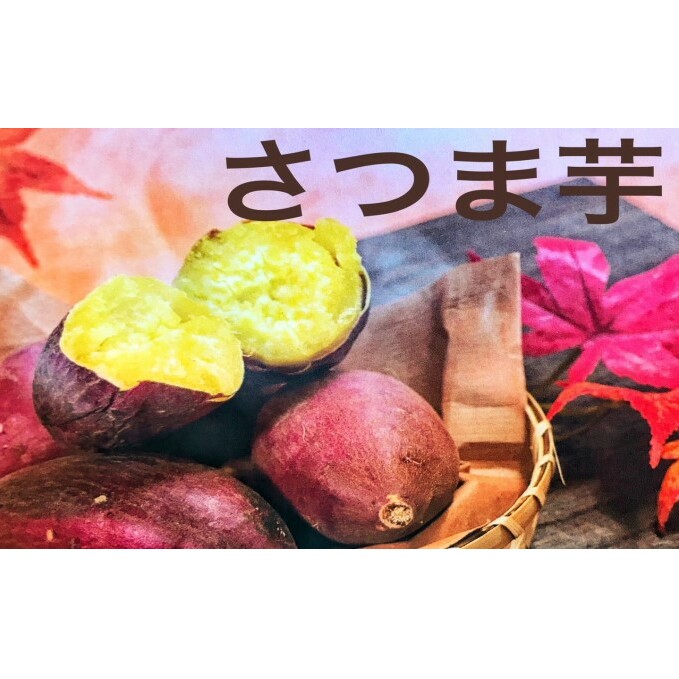 さつまいも（シルクスイート） 野菜 お芋 芋 食材 焼き芋 天ぷら 国産 日本産 