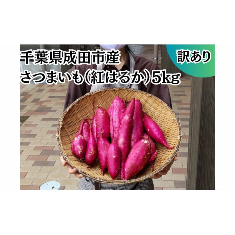 成田市産　さつまいも（紅はるか） 野菜 芋 お芋 国産 日本産 国産野菜 グルメ 焼き芋 ふかし芋 大学芋 食材 