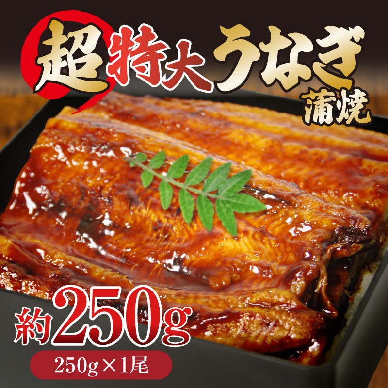 うなぎ 蒲焼き ( 特大 250g×1尾 ) ご飯にかける専用タレ付き! 冷凍 | うなぎ うなぎ うなぎ うなぎ うなぎ うなぎ 鰻 鰻 鰻 鰻 鰻