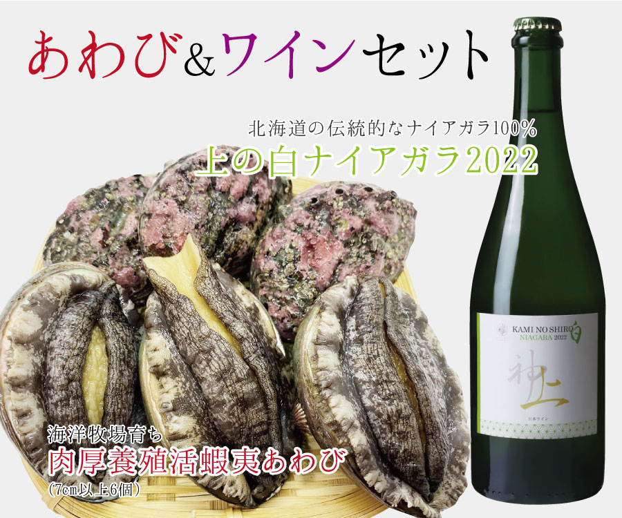 北海道産 上ノ国ワイナリー「上の白ナイアガラ2022」750ml×1本と「海洋牧場育ち養殖活蝦夷あわび」7cm以上×6個