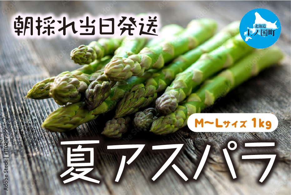 [2026年夏発送]わかさ農園の朝採り夏アスパラ M〜L(1kg) 朝採れ 農家直送 新鮮 アスパラ グリーンアスパラ 夏野菜 旬野菜