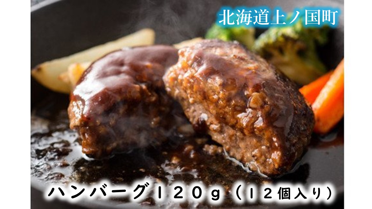 フルーツポークのハンバーグ(120g×12個) 豚肉 精肉店ハンバーグ 豚ハンバーグ 肉汁 やわらかい ぶたハンバーグ 北海道 北海道産 冷凍食品
