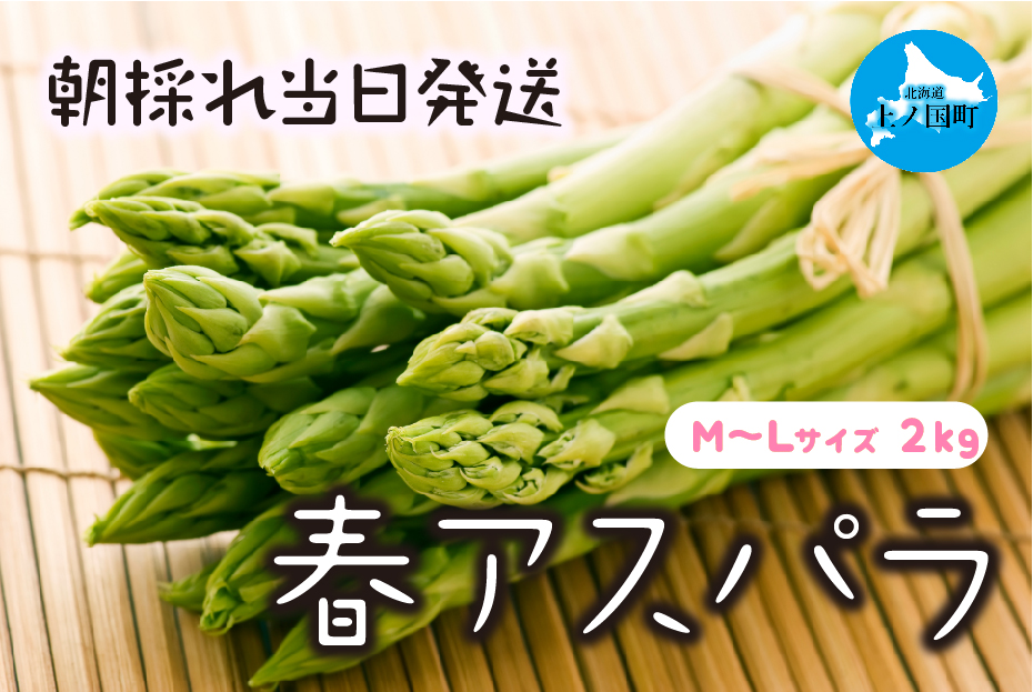 【2026年春発送】わかさ農園の朝採り春アスパラ　M～L（2kg）　グリーンアスパラ　朝採れ　農家直送　新鮮　甘い　春野菜　旬野菜　特産品　北海道産