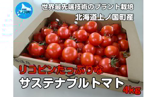 寅福菜園の高リコピントマト「サステナブルトマト」　4kg