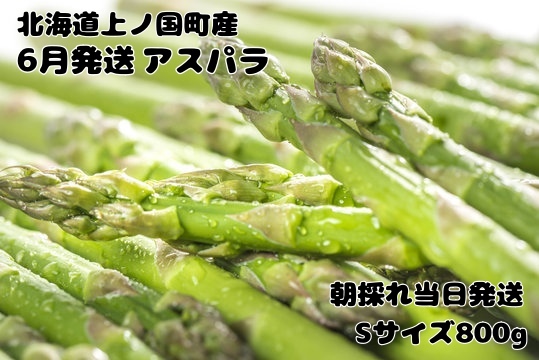 【2026年6月発送】寅福菜園の朝採り6月限定アスパラ　S（800g）　グリーンアスパラ　朝採れ　農家直送　新鮮　ジューシー　特産品　北海道産