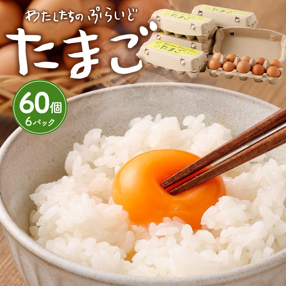 単なる平飼いではない究極の卵『わたしたちのぷらいどたまご』6パック(60個)セット