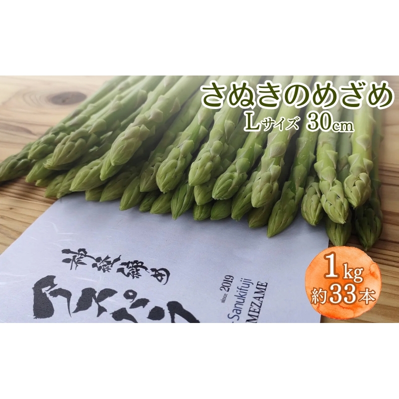 アスパラガス シャキシャキ！ピンピン！『神経締めアスパラ』 さぬきのめざめ 30cm Lサイズ 1kg（約33本）/ アスパラ 野菜 新鮮