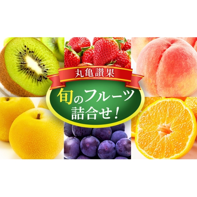 [丸亀讃果][定期便 2ヶ月] 今が旬の厳選果実 詰め合わせ 丸亀讃果 旬のフルーツ 食べ比べ いちご みかん デコポン びわ 桃 梨 ぶどう 柿 キウイ 柑橘 柑橘類 果物 デザート おやつ 旬 産地直送 旬の果物 お取り寄せ 冷蔵 冷蔵配送 定期 2回