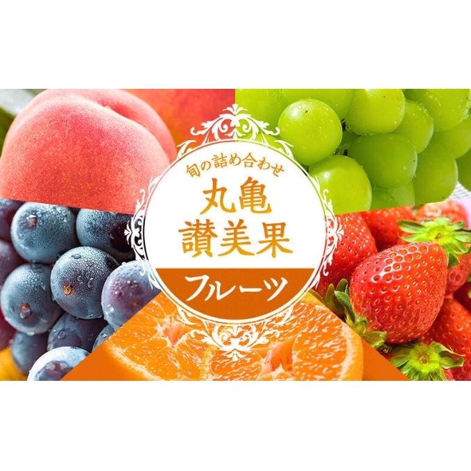 旬のフルーツ詰合せ!丸亀讃美果/ 果実 果物 旬 今が旬 シャインマスカット 桃 みかん いちご ピオーネ ぶどう 詰め合わせ 詰合せ 果物類 季節の果物 ブドウ せとか お楽しみ