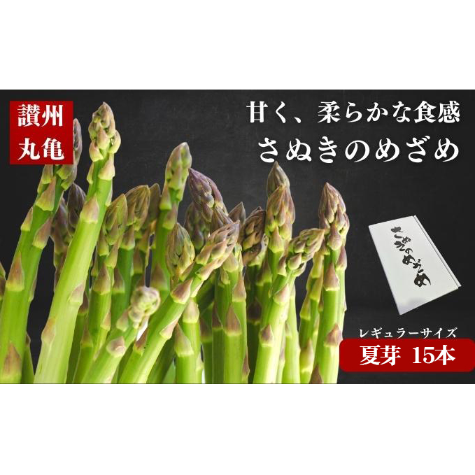 さぬきのめざめ（夏芽）1.5kg 野菜 アスパラガス 国産野菜 甘味が強い みずみずしい 柔らかい オリジナル品種 鮮度