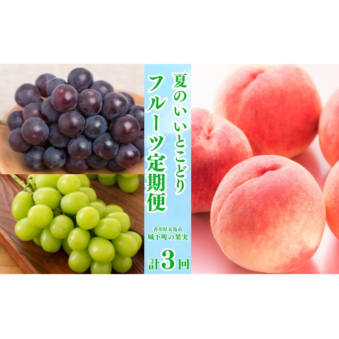 【全3回】フルーツ定期便「丸亀市夏のいいとこどり定期便」~少人数でも楽しみやすい食べきり版~/シャインマスカット 桃 ピオーネ 定期配送 頒布会 果実 果物