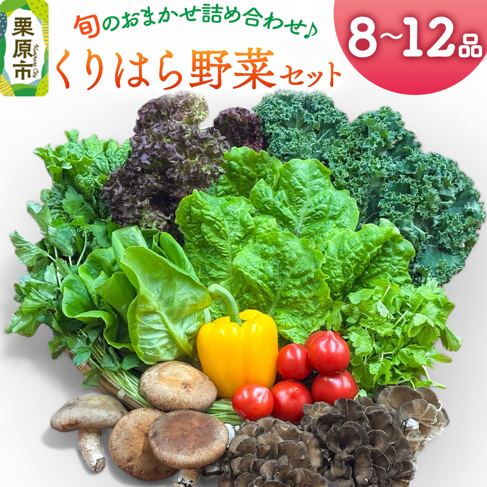 くりはら野菜セット（旬のおまかせ詰め合わせ  8～12品 ）