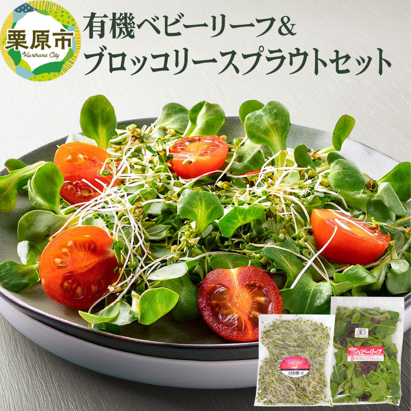有機ベビーリーフ&ブロッコリースプラウトのセット 宮城県栗原市産