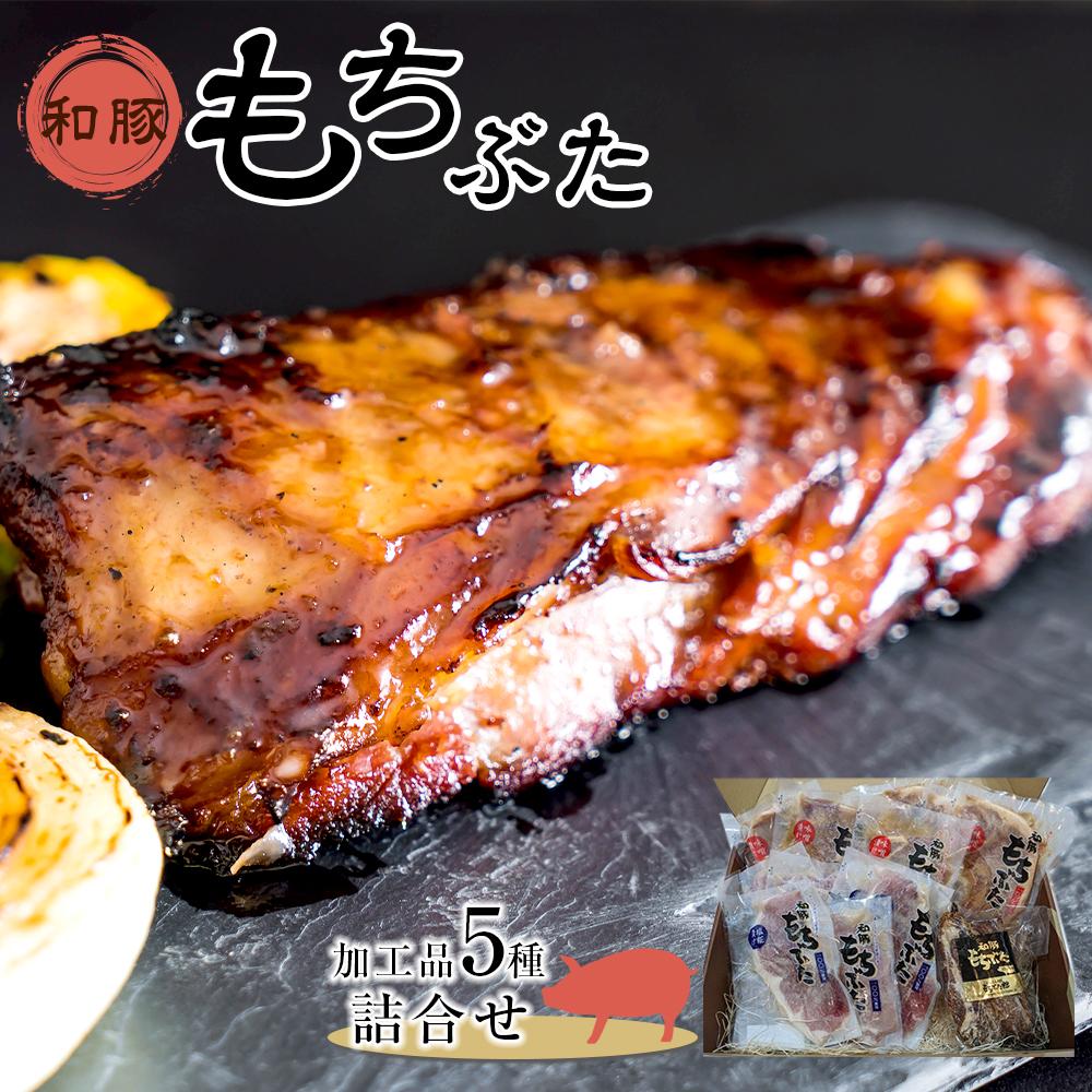 豚肉 和豚もちぶた 加工品5種詰合せ ( モモ味噌漬け & モモ塩糀漬け & 肩ロース味噌漬け & 肩ロース塩糀漬け × 各3パック & スペアリブ2本 × 1パック )