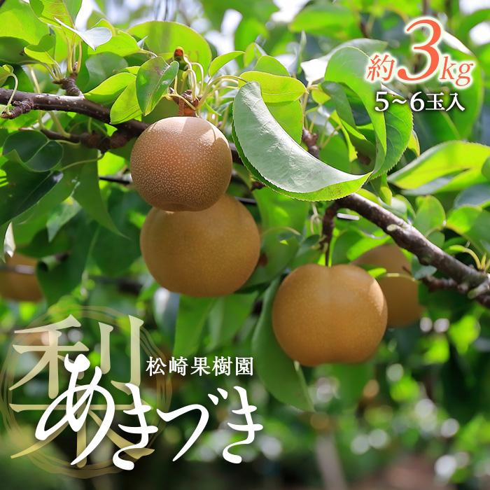 梨「あきづき」約3kg(5~6玉入)【松崎果樹園】