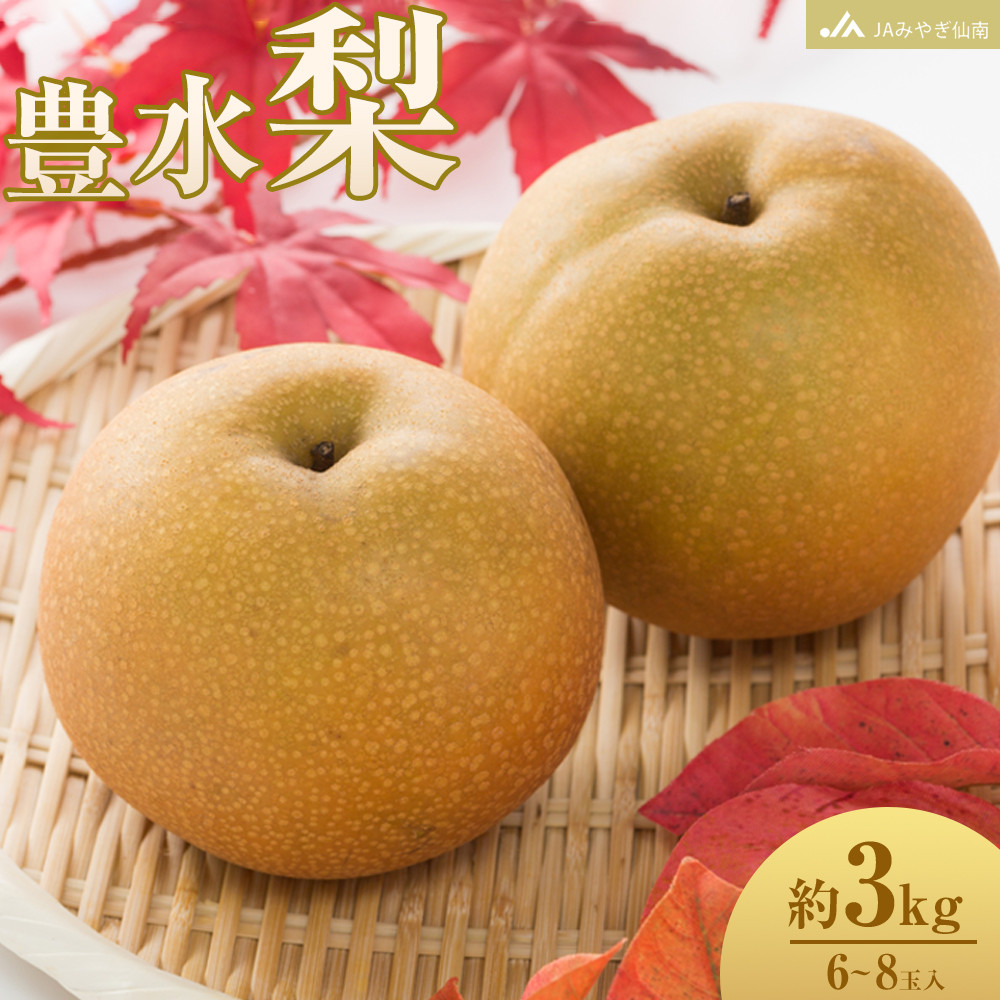 【JAみやぎ仙南】梨「豊水」約3kg (6～8玉入)