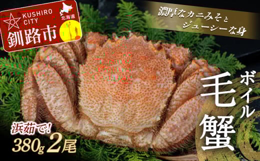【浜茹で!】ボイル毛ガニ380g(冷凍)×2尾 ふるさと納税 かに 蟹 _F4F-5341